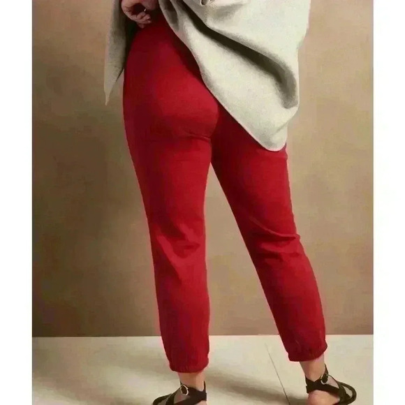 Banana  Republic Soft Fleece Jogger - Picture 10 of 10